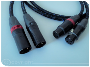 Seismic Audio Cavo Patch XLR Doppio Maschio, 9 M, 2-XLRM A 2-RCA Audio Cord (SAXFRM-2X3